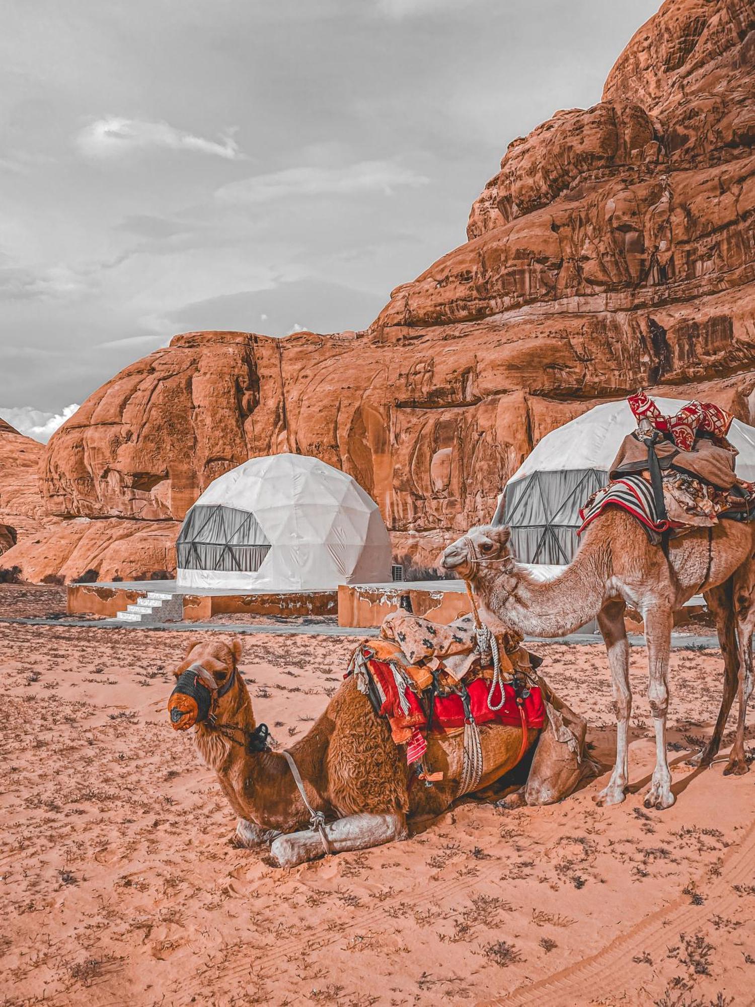 Scarlet Luxury Camp Ουάντι Ραμ Εξωτερικό φωτογραφία
